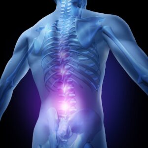 A blue diagram of a person's spine with the lower spine above the pelvis highlighted in a purple color.