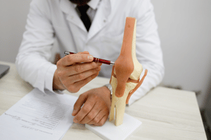 ligament figure